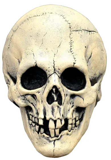 Máscara de Látex Calavera Búho Nocturno