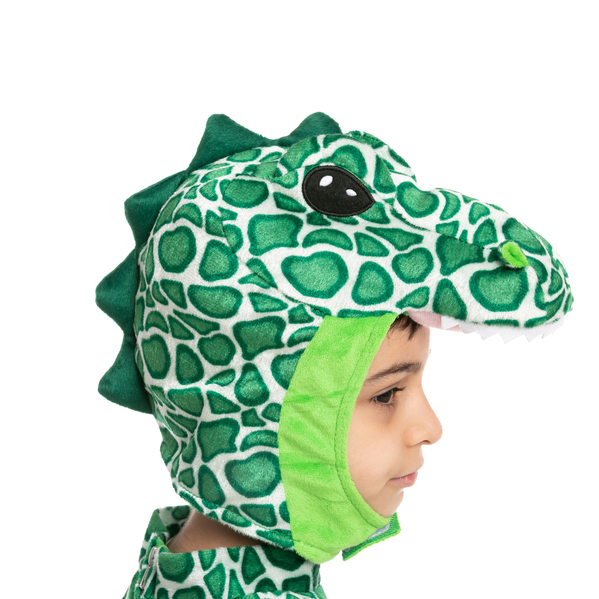 Disfraz de Dinosaurio Verde Infantil, foto 6 de 7
