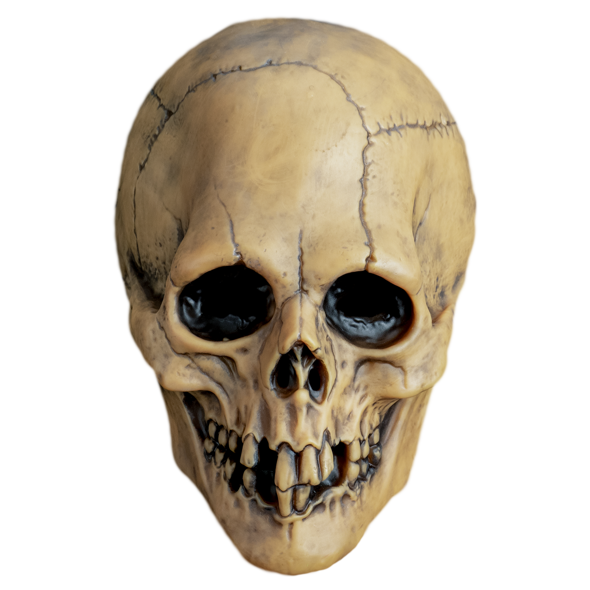 Máscara Calavera Vudú Envejecida, foto 1 de 3