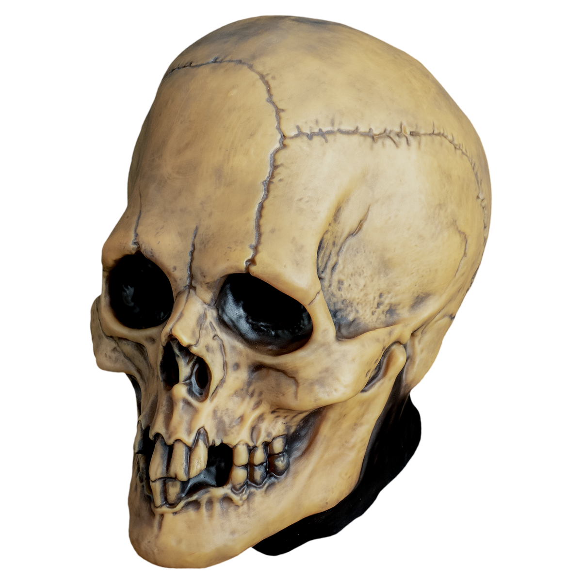 Máscara Calavera Vudú Envejecida, foto 2 de 3