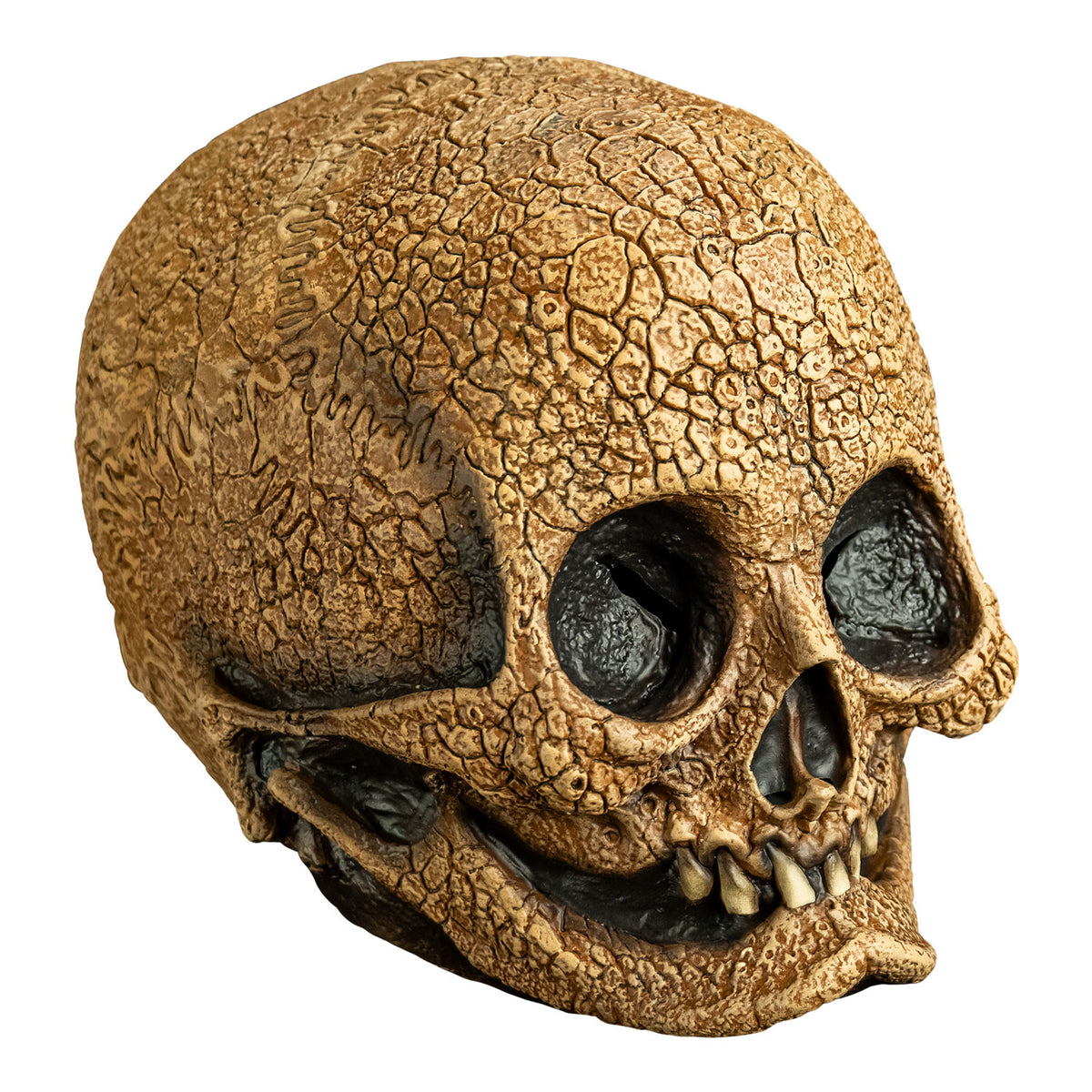 Máscara de Látex Calavera Craneal, foto 3 de 3